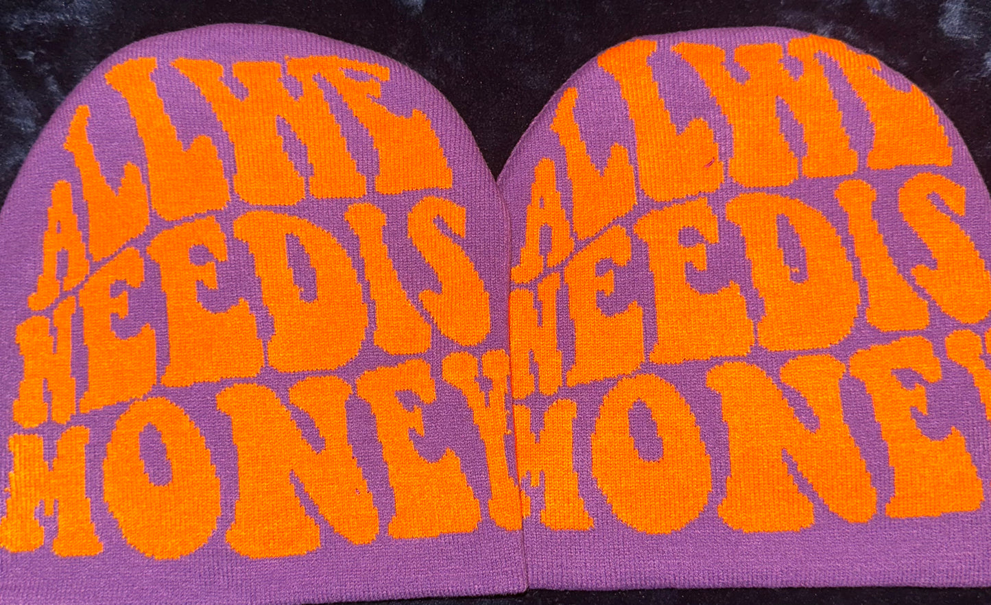 All We Need Is Money Beanie