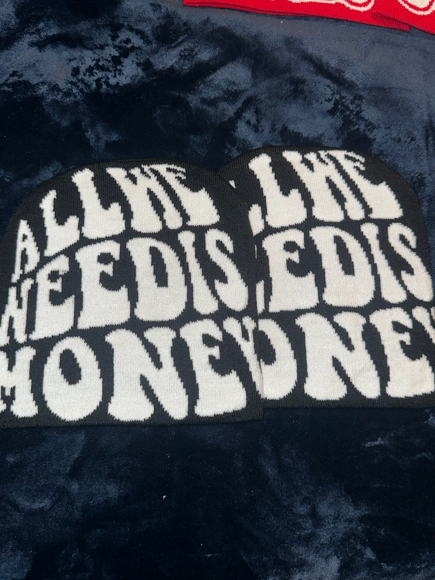 All We Need Is Money Beanie