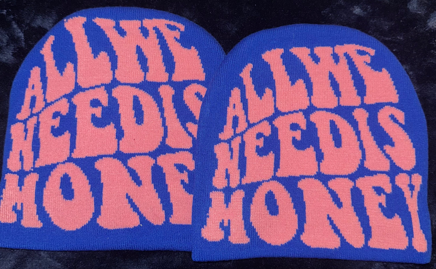 All We Need Is Money Beanie